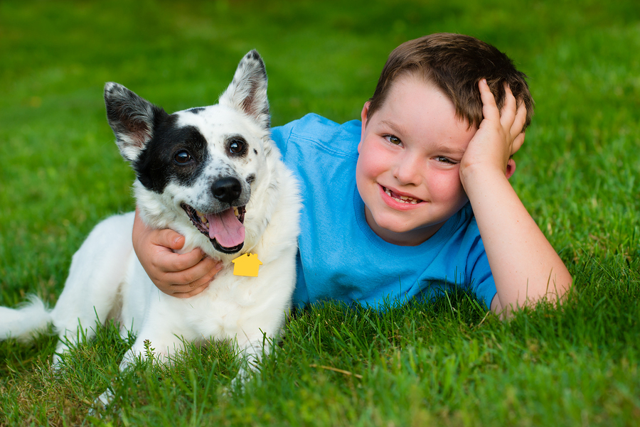 4 Tips to Select the Best Pet for Your Kid