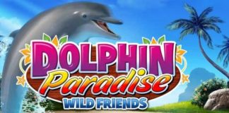 dolphin paradise wild friends
