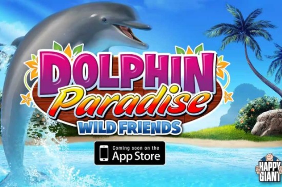 dolphin paradise wild friends