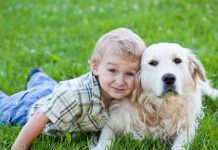 nurture your children in a better way by having pets