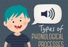 Types of Phonological Processes